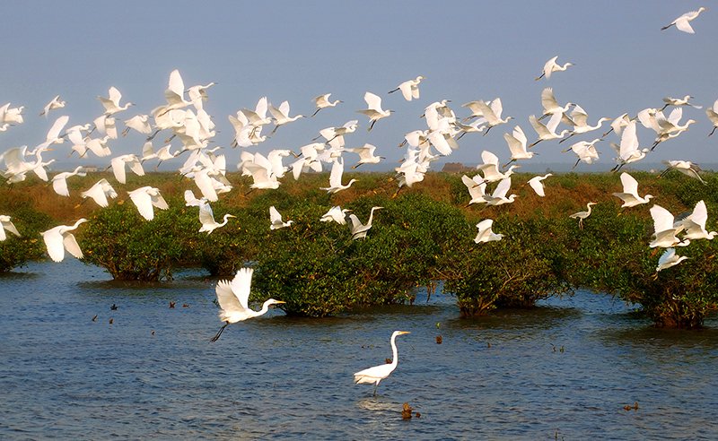 Nam Dinh & Xuan Thuy National Park Eco Bike tour in 2 Days